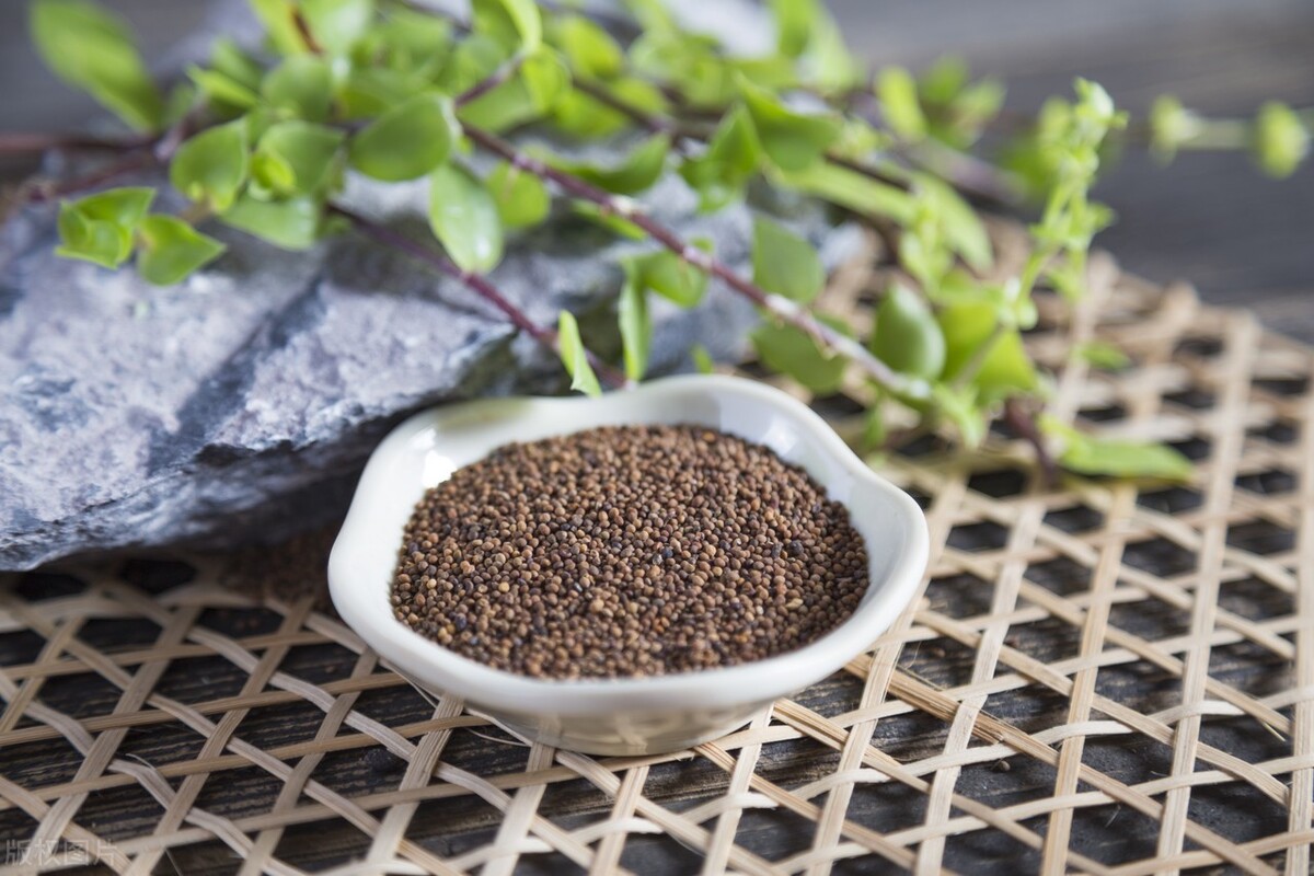 气血不足血海空虚闭经怎么办,卵巢早衰闭经中药能调理过来吗