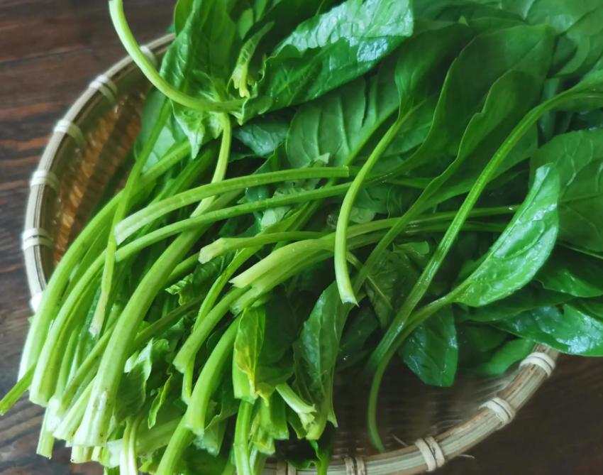 常吃花生能治便秘吗,经常吃生花生米可以治便秘吗