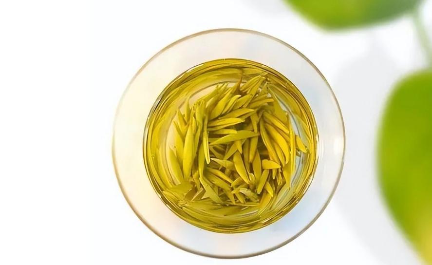 阳康后适合喝什么茶,阳了喝什么可以缓解