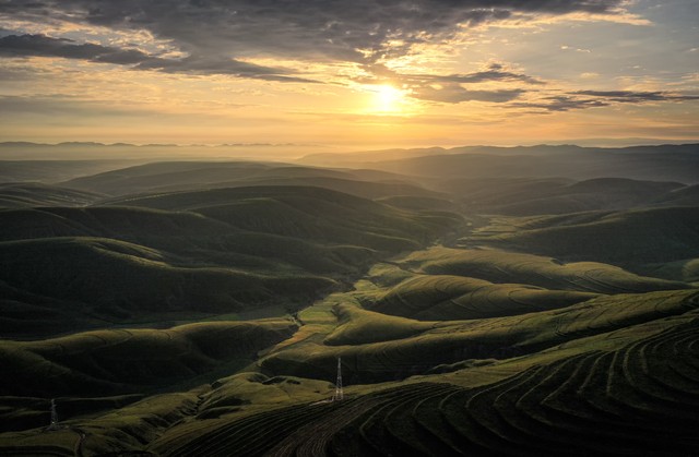 正宗宁夏红枸杞风景,宁夏红色枸杞
