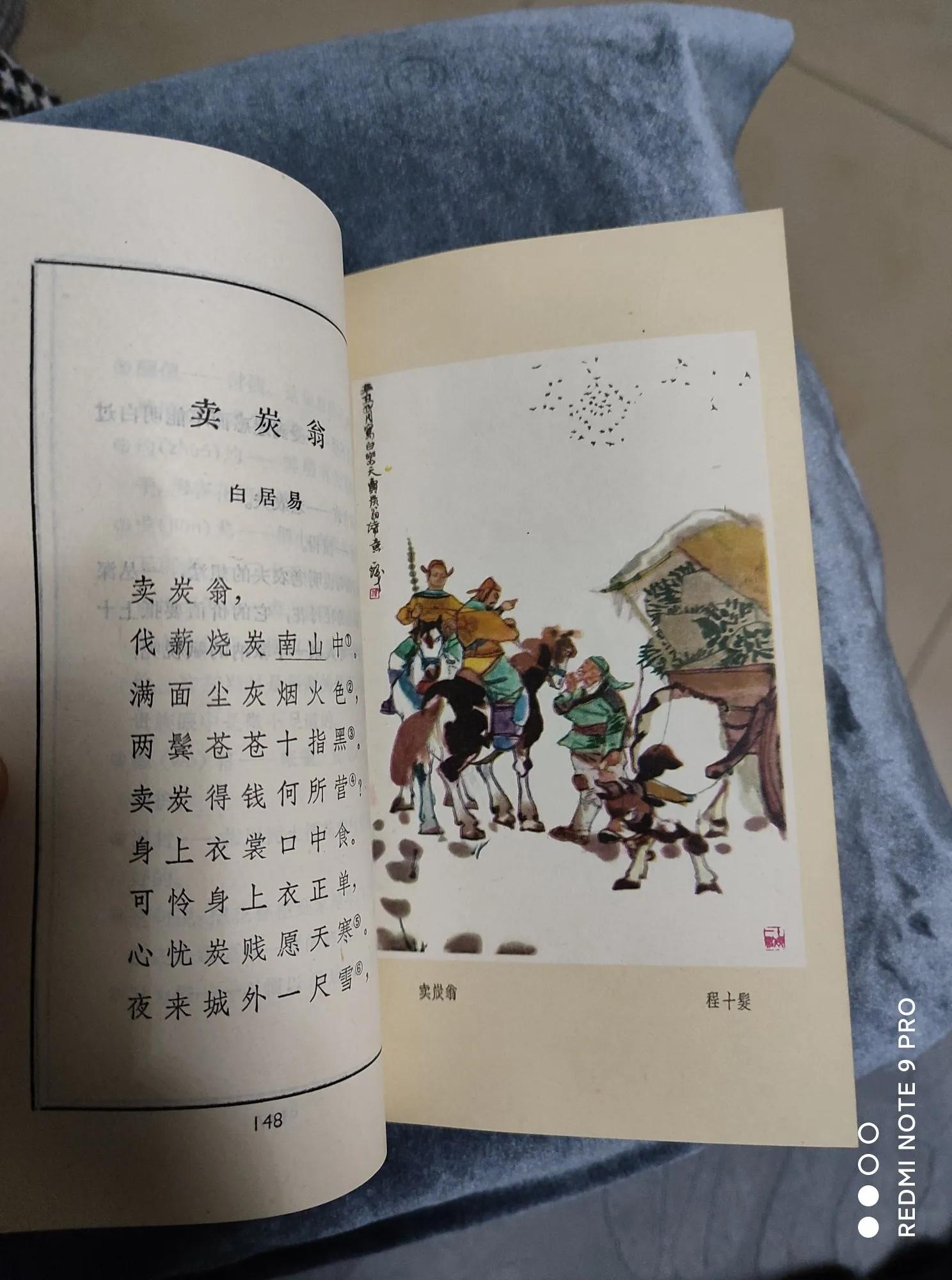 差一点买“珠”还“椟”——购«古代诗歌选»小记