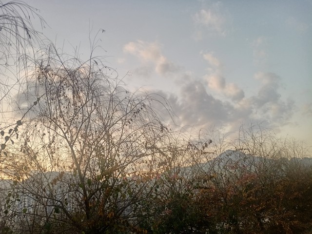 德云社往事曹云金,郭德纲曹云金来龙去脉