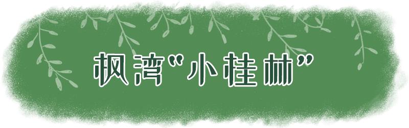 深圳充满夏天气息的风景,深圳周边有山有水的风景区