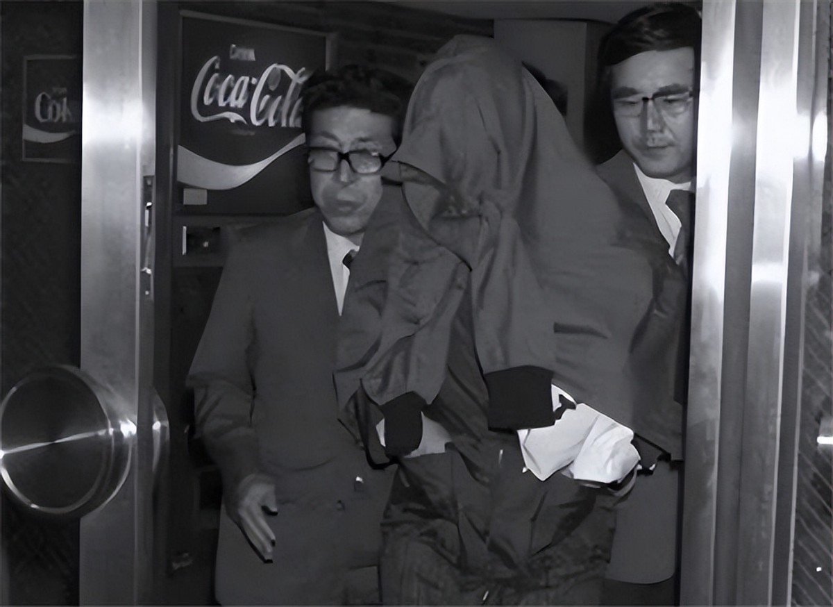 苏联飞行员驾机逃回祖国,苏联飞行员逃亡