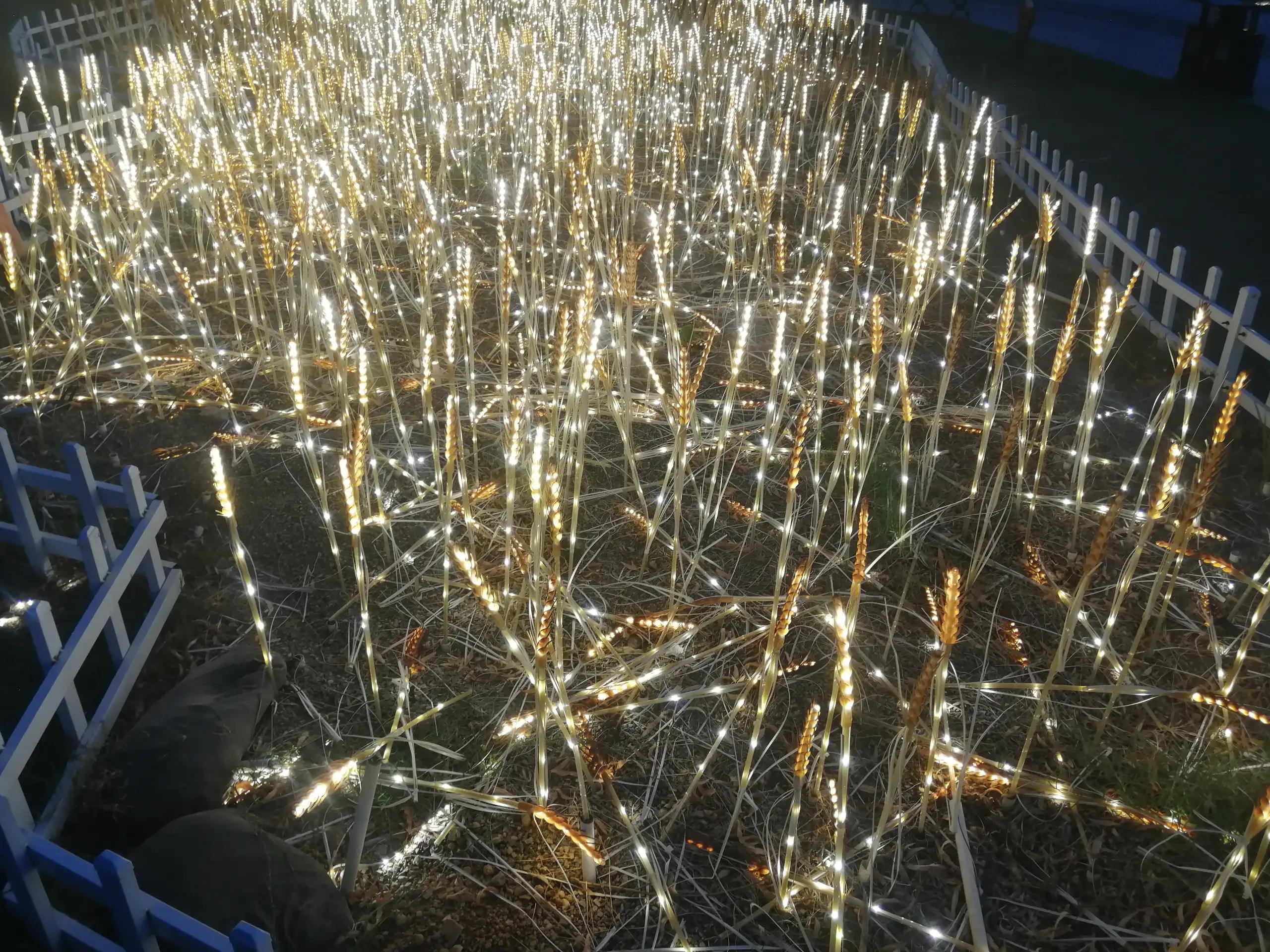 晚上西湖夜景游玩路线,晚上去西湖