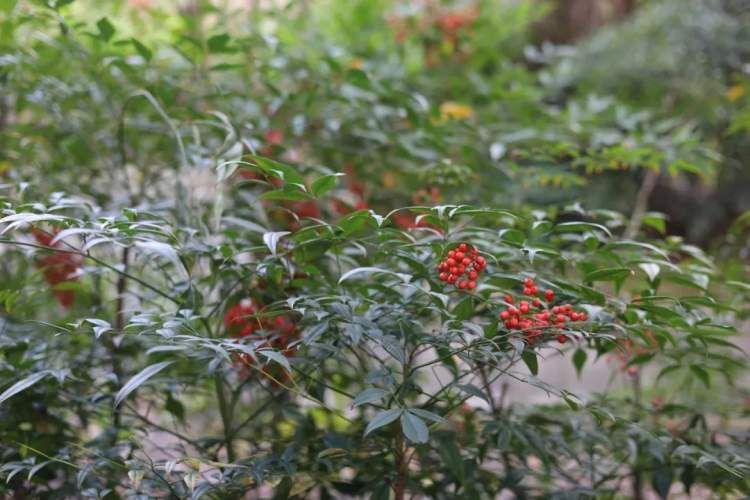 最值得打卡的动物园,国庆必打卡动物园推荐