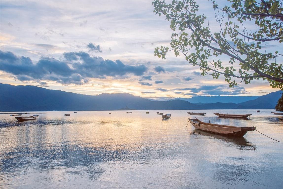 央视主持人经典语录摘抄,央视主持人经典金句合集