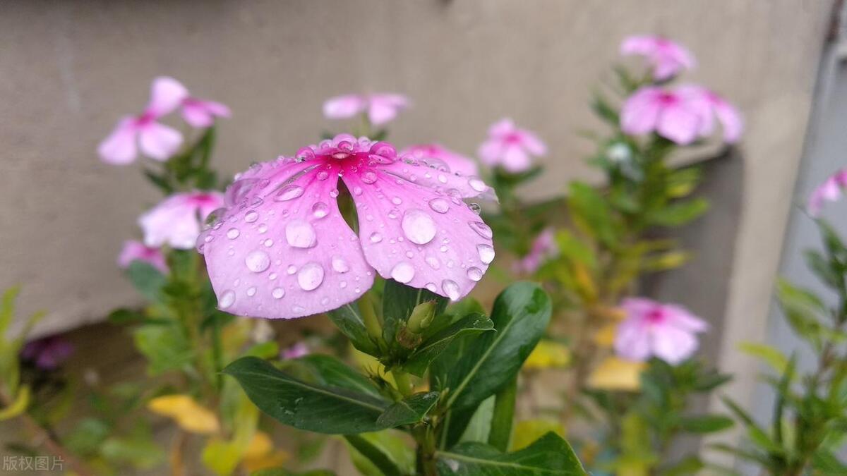 兰州工业学院专业排行,兰州工业学院专业排名榜