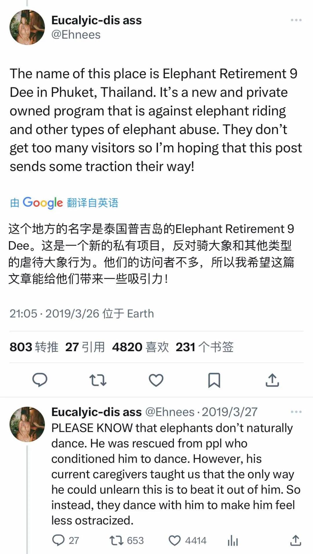 大象被铁链拴住,野象谷用针扎大象