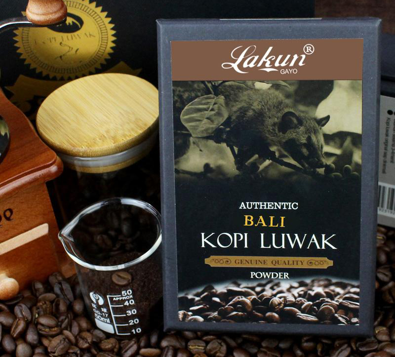 小灵猫深圳,深圳小灵猫