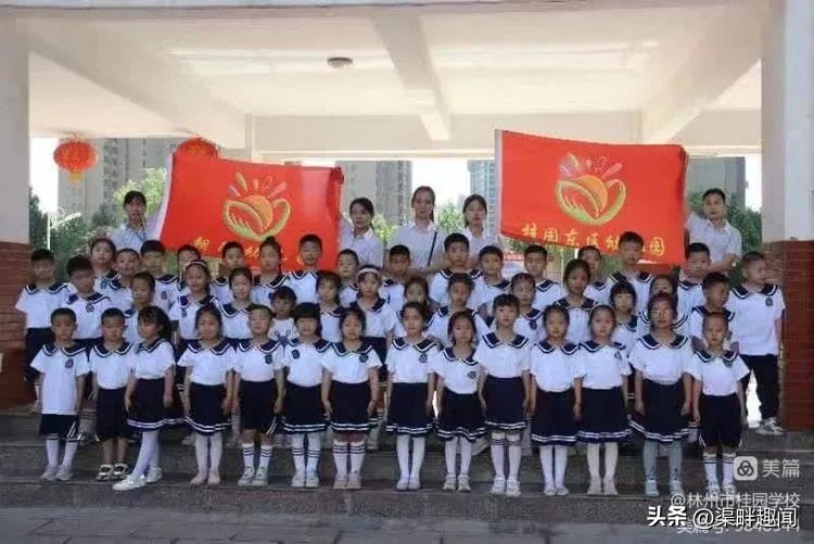 聚焦德育活动促学生全面发展,聚焦入学助力儿童成长公开课