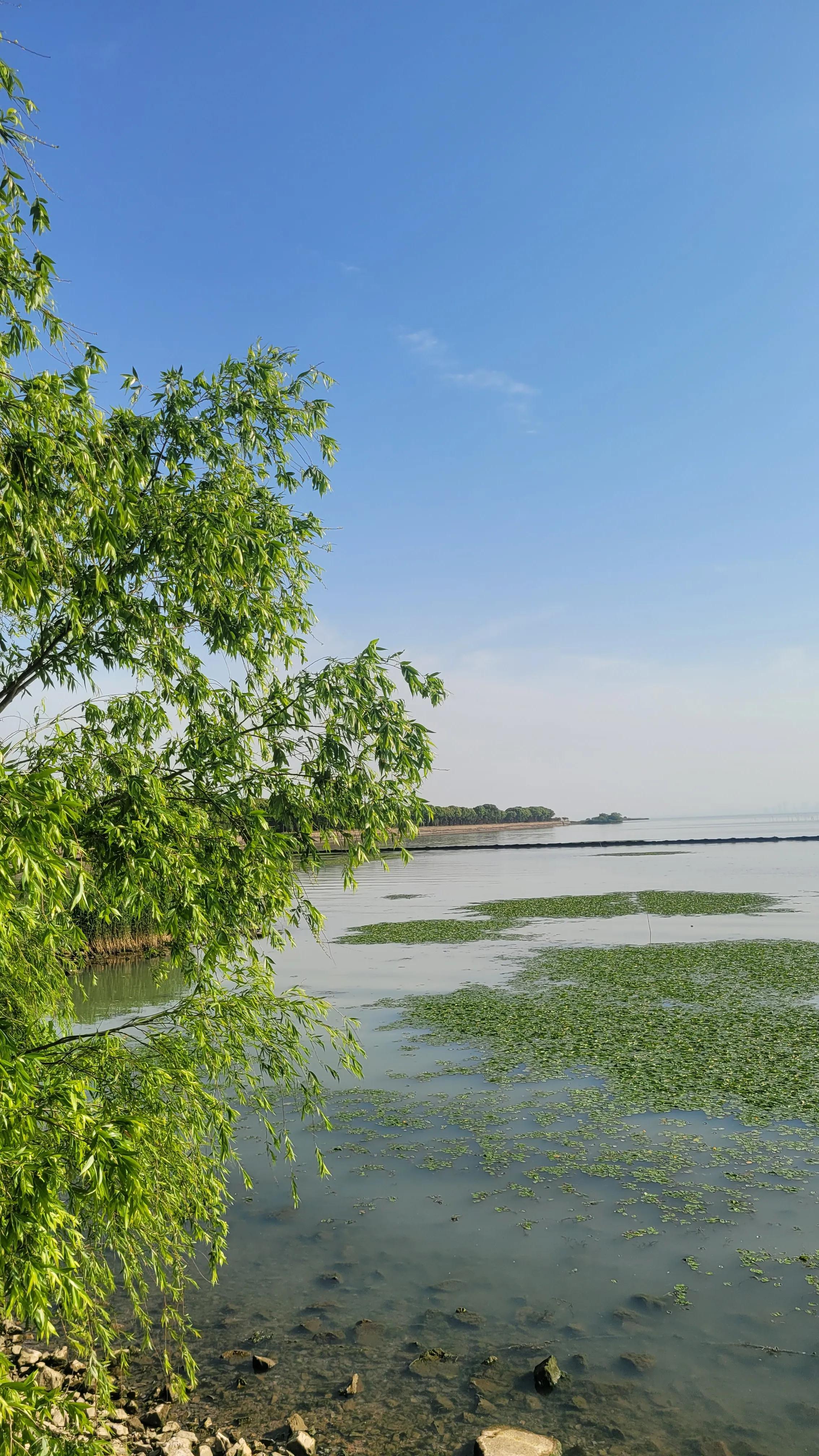 苏州西山古村探秘,苏州古村落景区在哪里