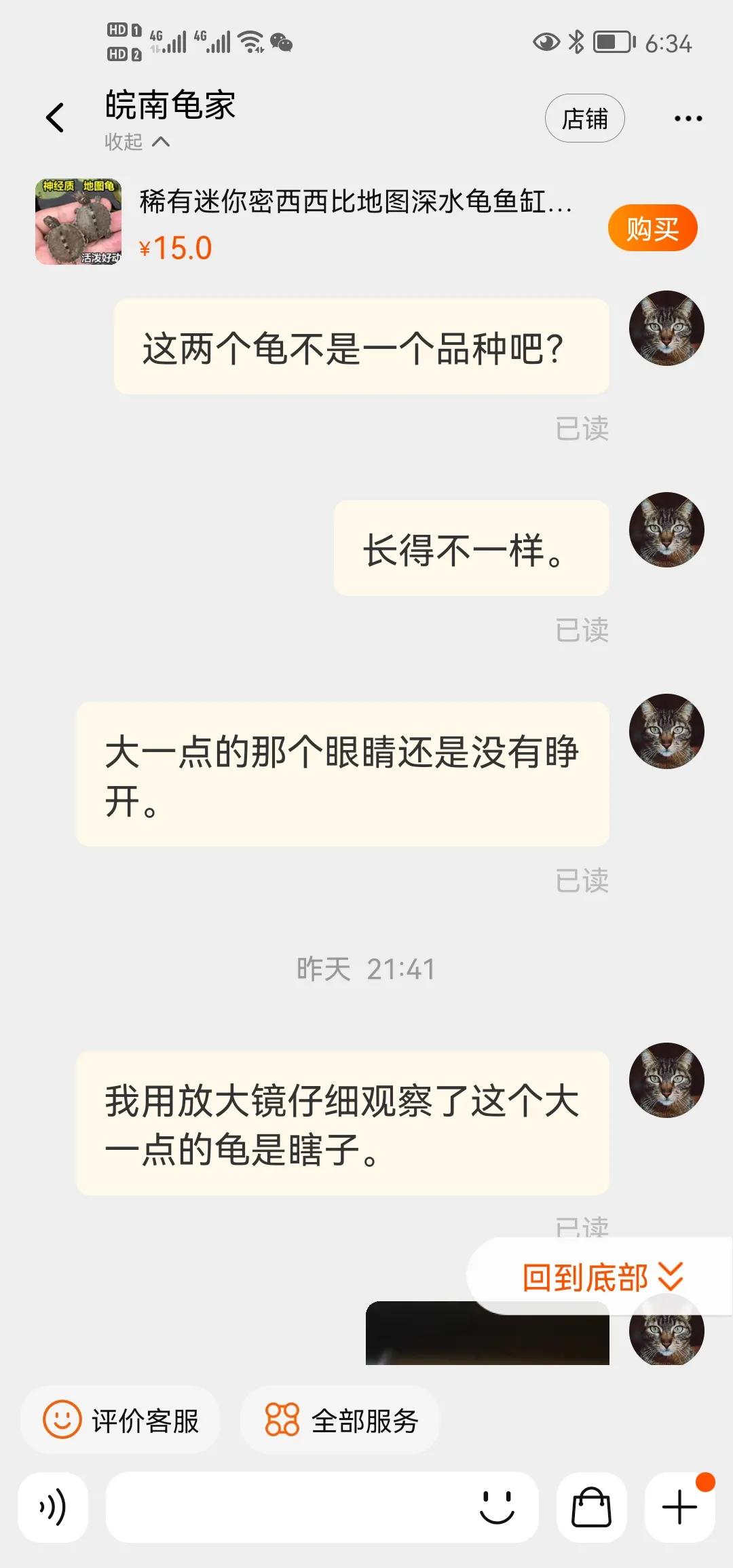 淘宝买到生病乌龟 (淘宝上买乌龟)