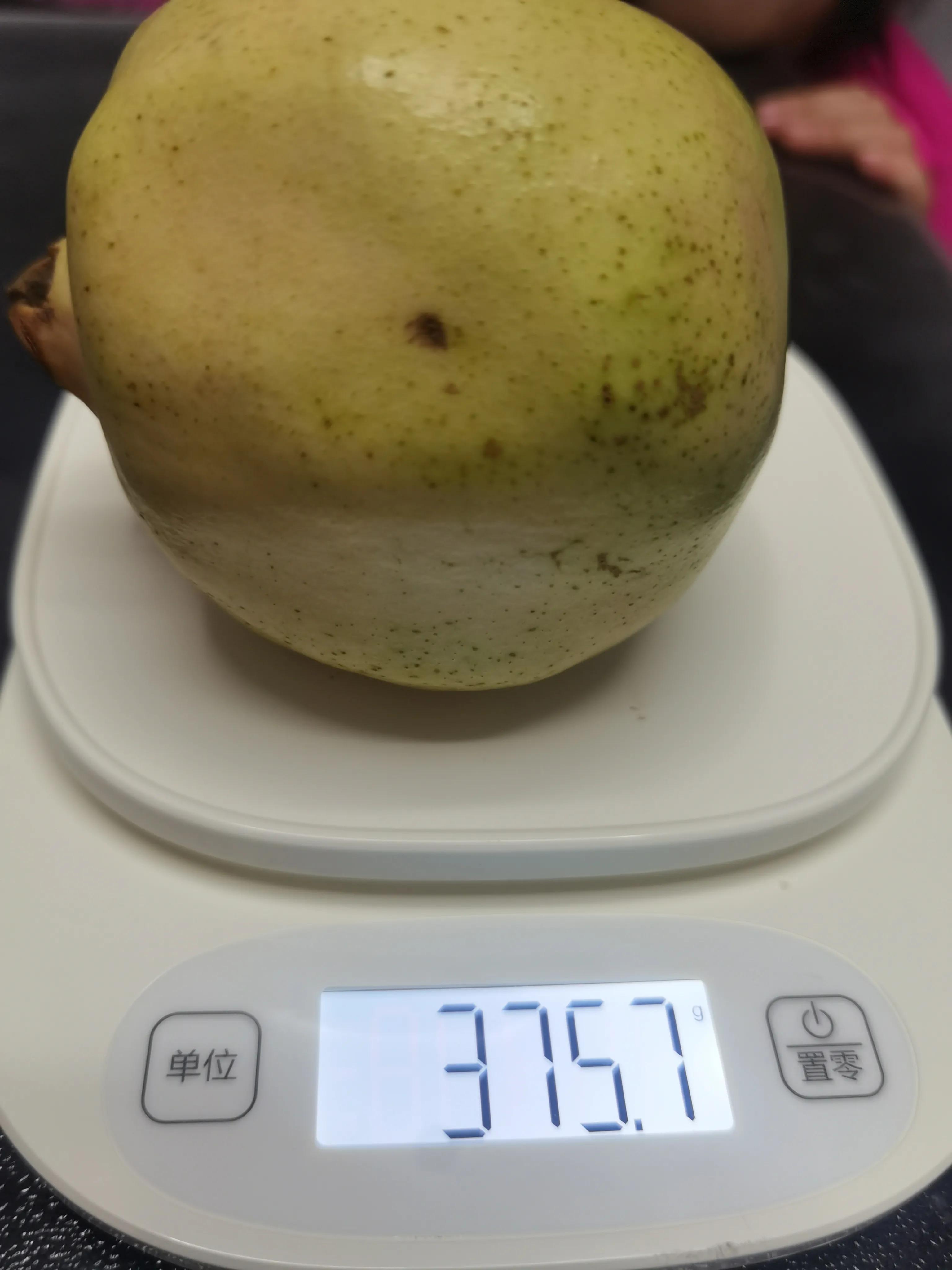 为什么嗓子痛不能吃鸡蛋,喉咙痛的人能不能吃石榴