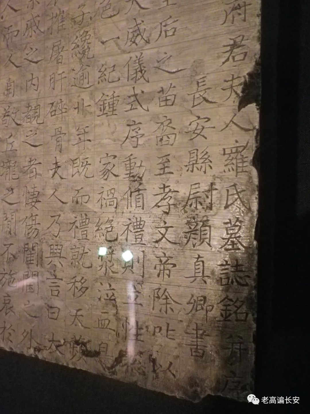 陕西考古博物馆几点放号,陕西考古博物馆门票预约