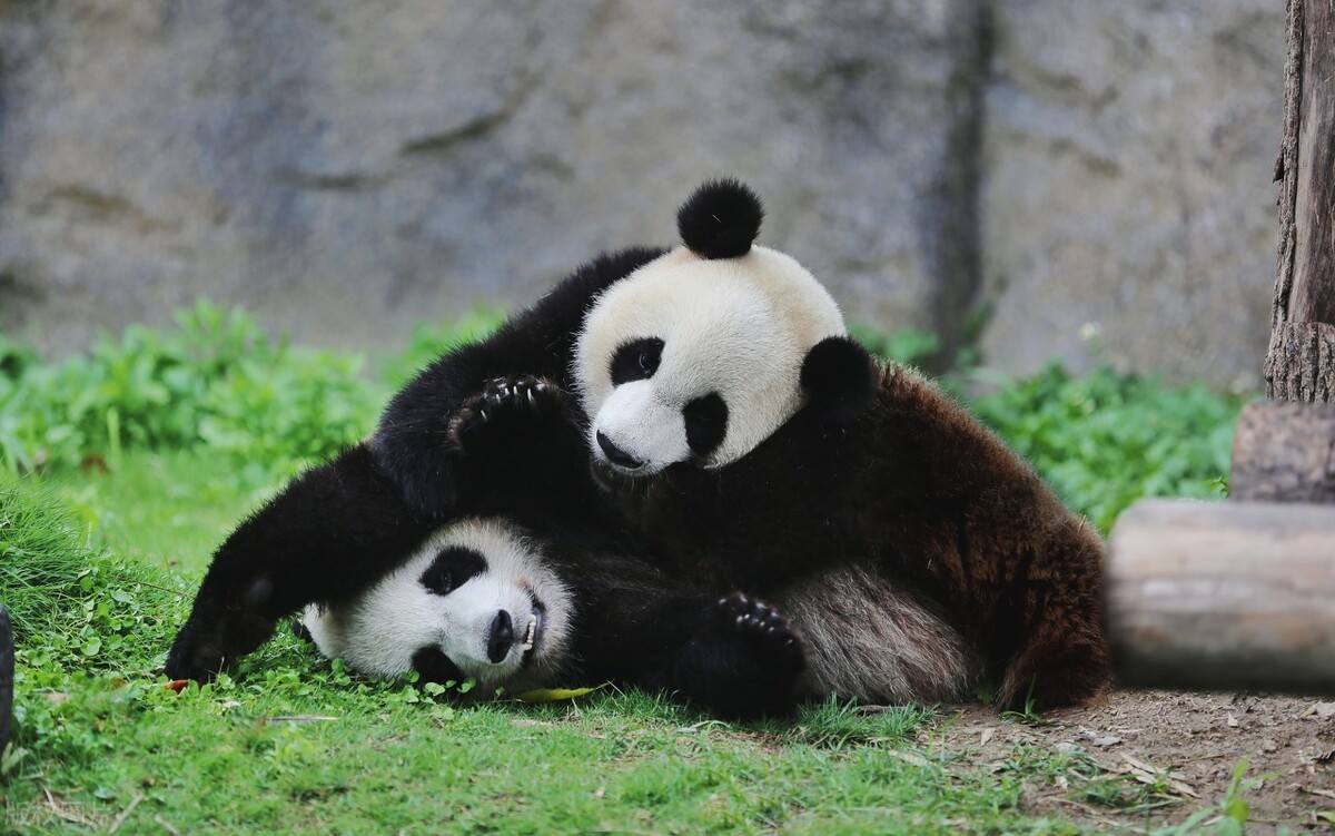 上海旅游十大必去景点,上海欢乐谷必玩十大景点