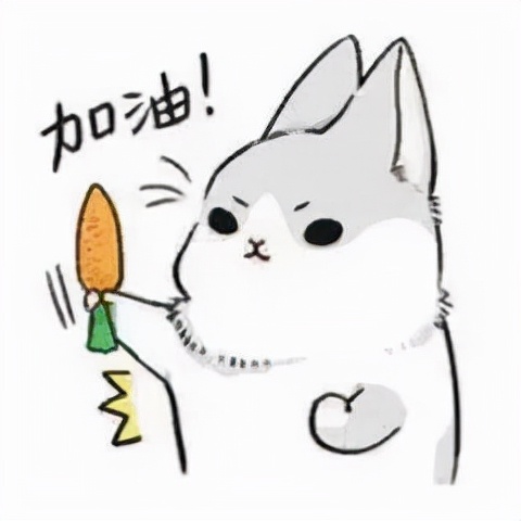 上海杨浦区新江湾城字节跳动体验,字节跳动一天工作时间表