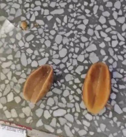 比酸菜牛肉面更恶心的东西,老坛酸菜到底有多恶心