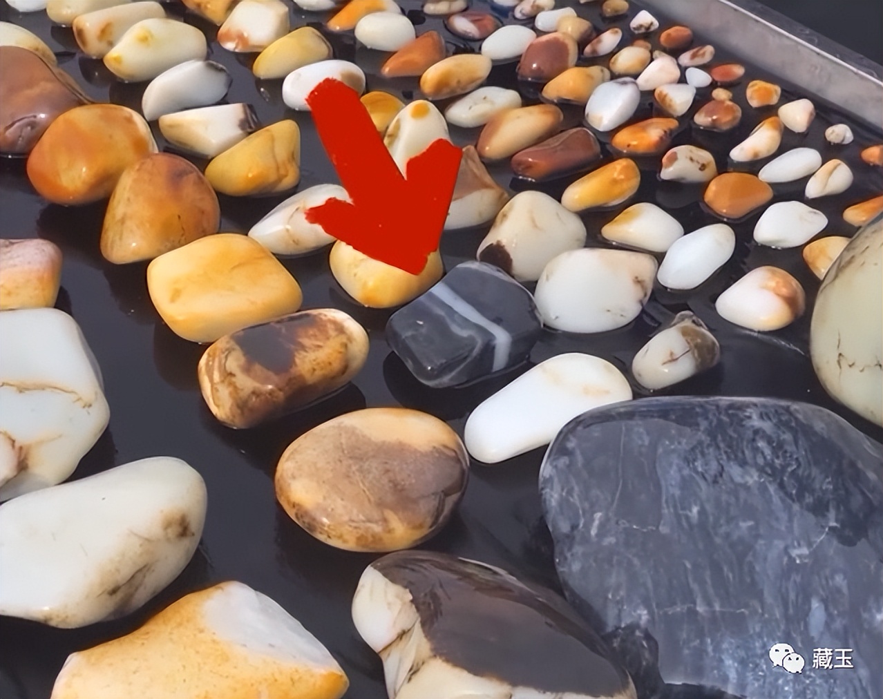 最贵的玉摊位,几百块钱的青花籽料