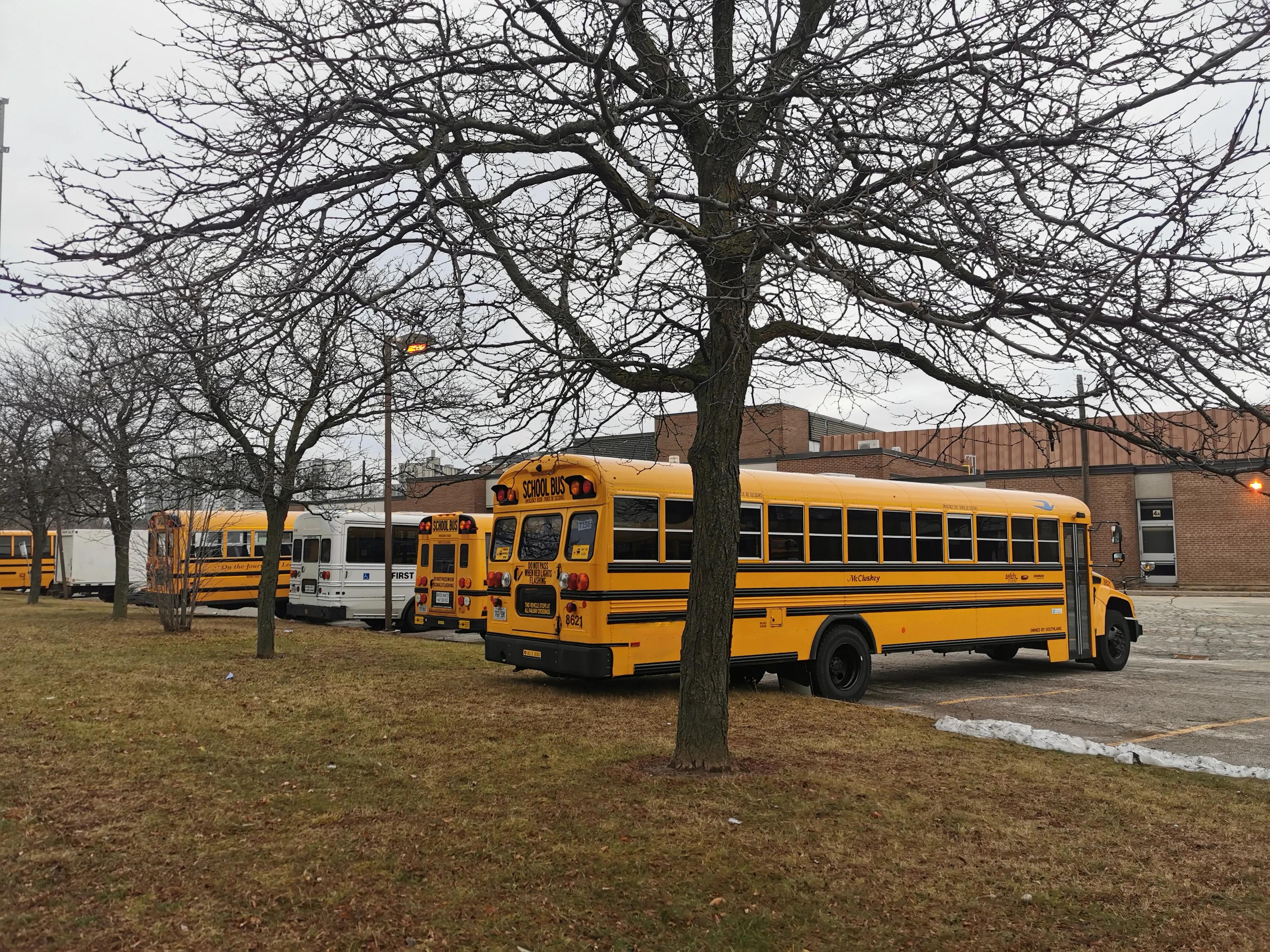 加拿大超市购物必买,加拿大购物付款