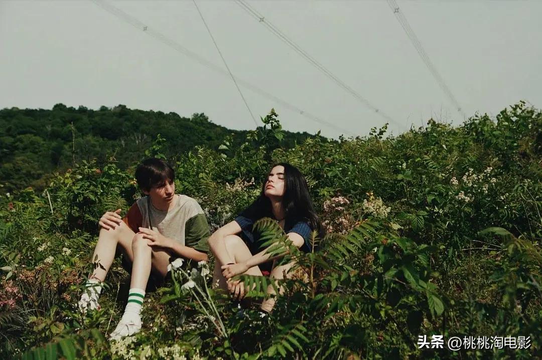 近5年五一档已定档100部新片,五一档八部新片抱团撤档