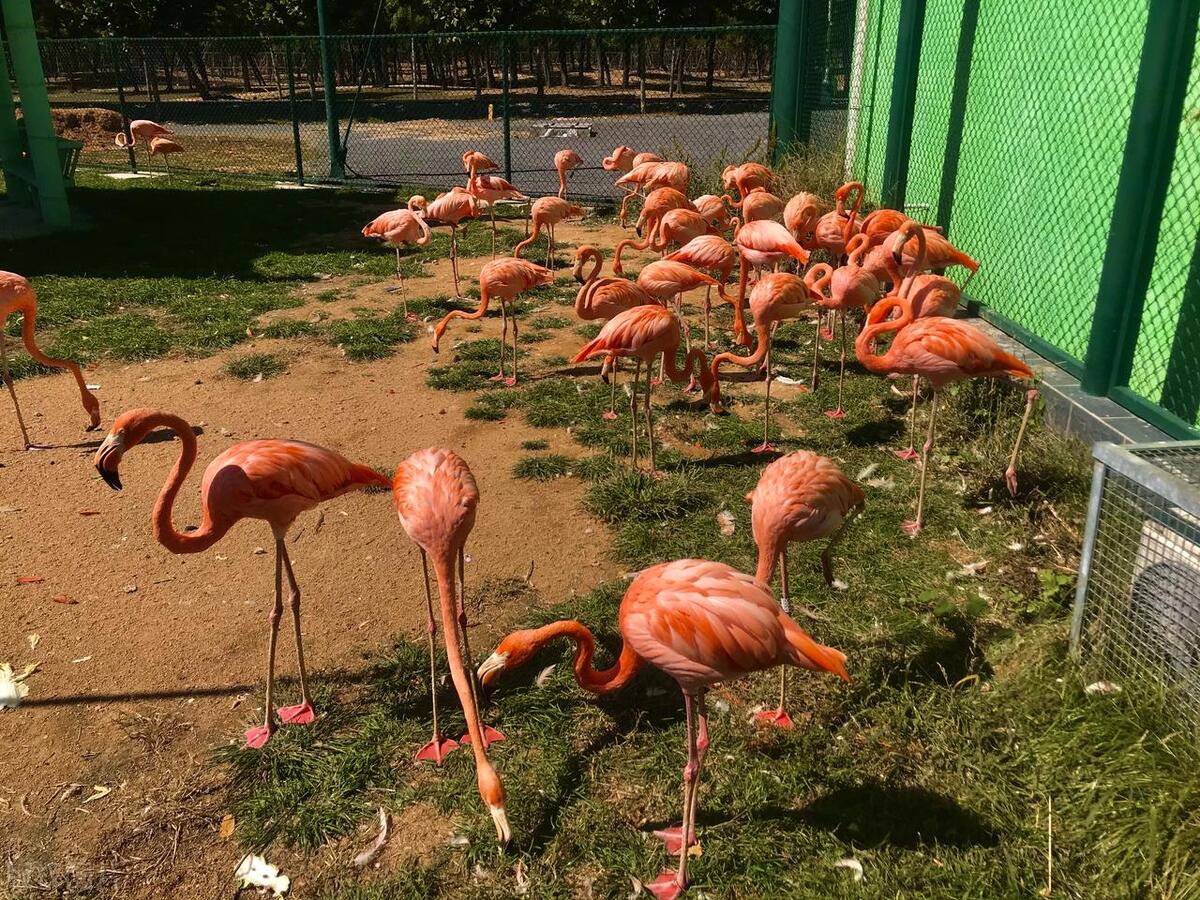 喜欢美景去哪玩,喜欢海边美景释放心情