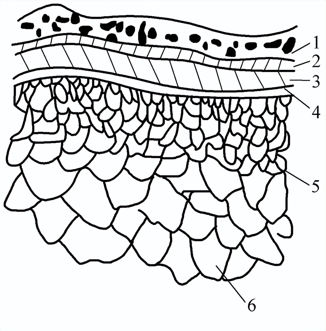 金属材料及制品检测服务方案价钱,金属材料及制品检测企业