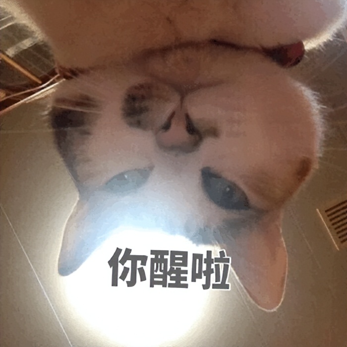 浜笢娑夋浜嬩欢,浜笢鐘硶妗堜欢