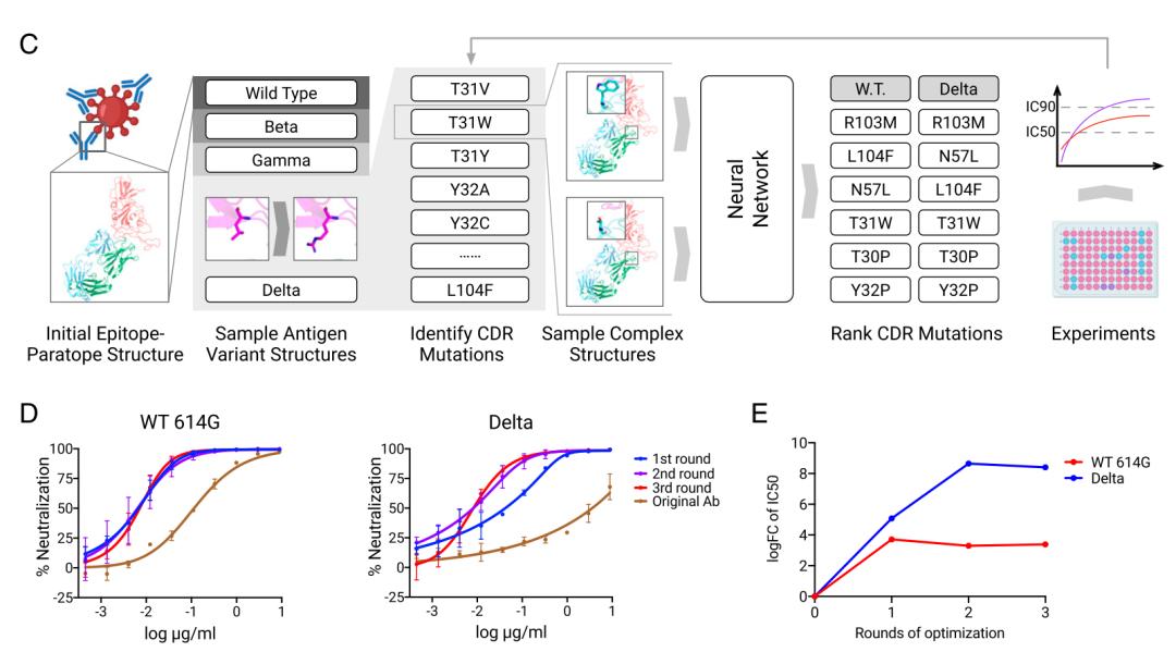alphafold2实际运用,alphafold2