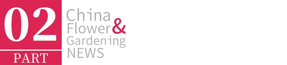 园艺电商怎么做好营销工作,园艺电商怎么做好营销