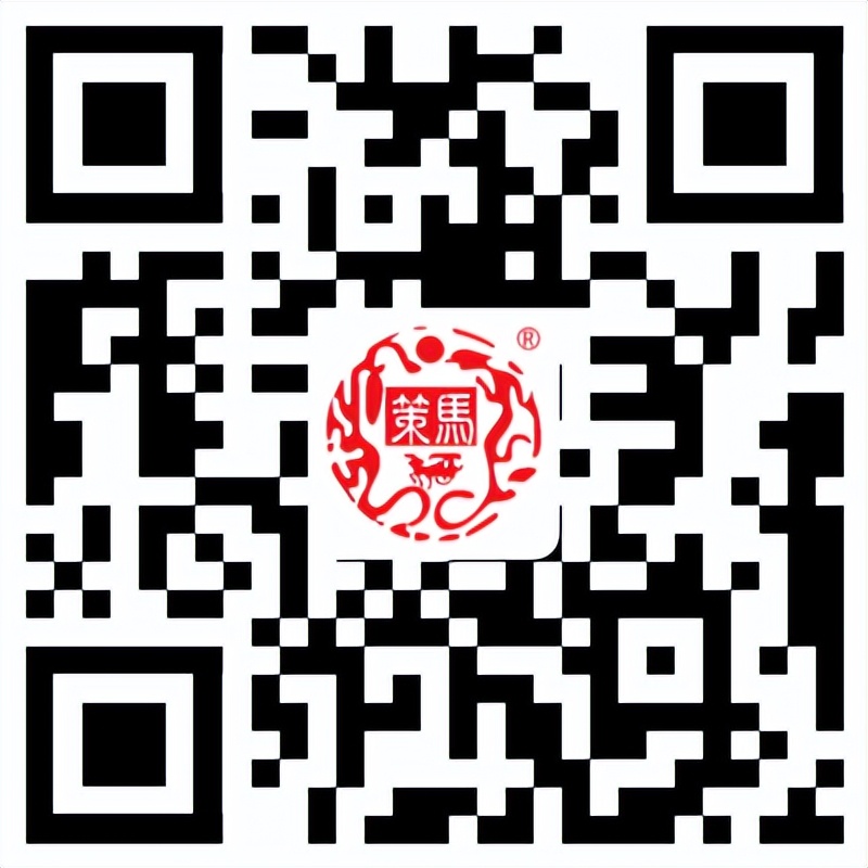 顶尖国际口译实战之旅—2023策马国际组织实战口译营（日内瓦）