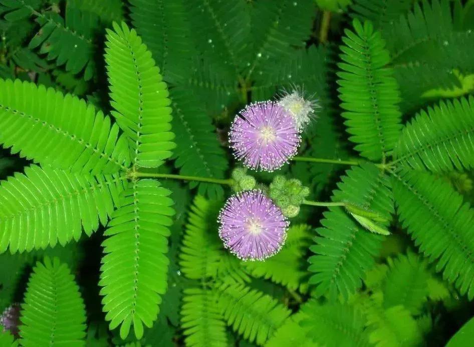 人为什么要照顾好自己的身体,照顾好自己的身体就是赚钱