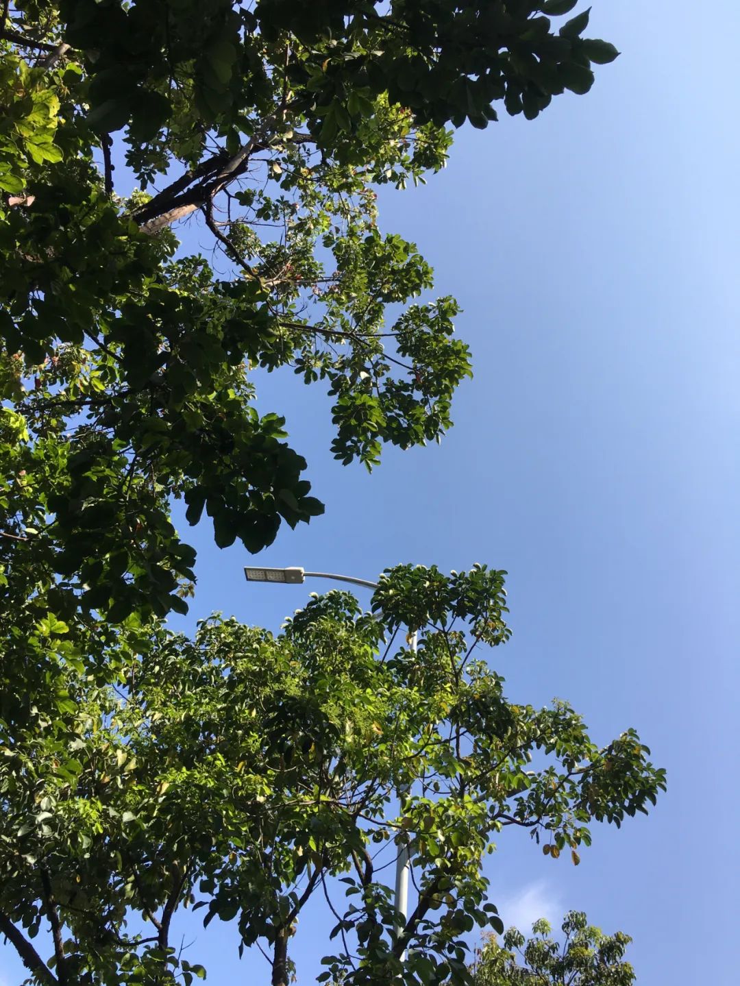 《旭光骑行深圳》第2站——龙岗区布吉街道