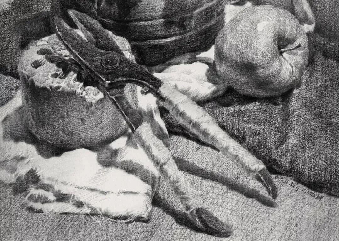 静物素描如何快速准确起形,2天速成素描静物