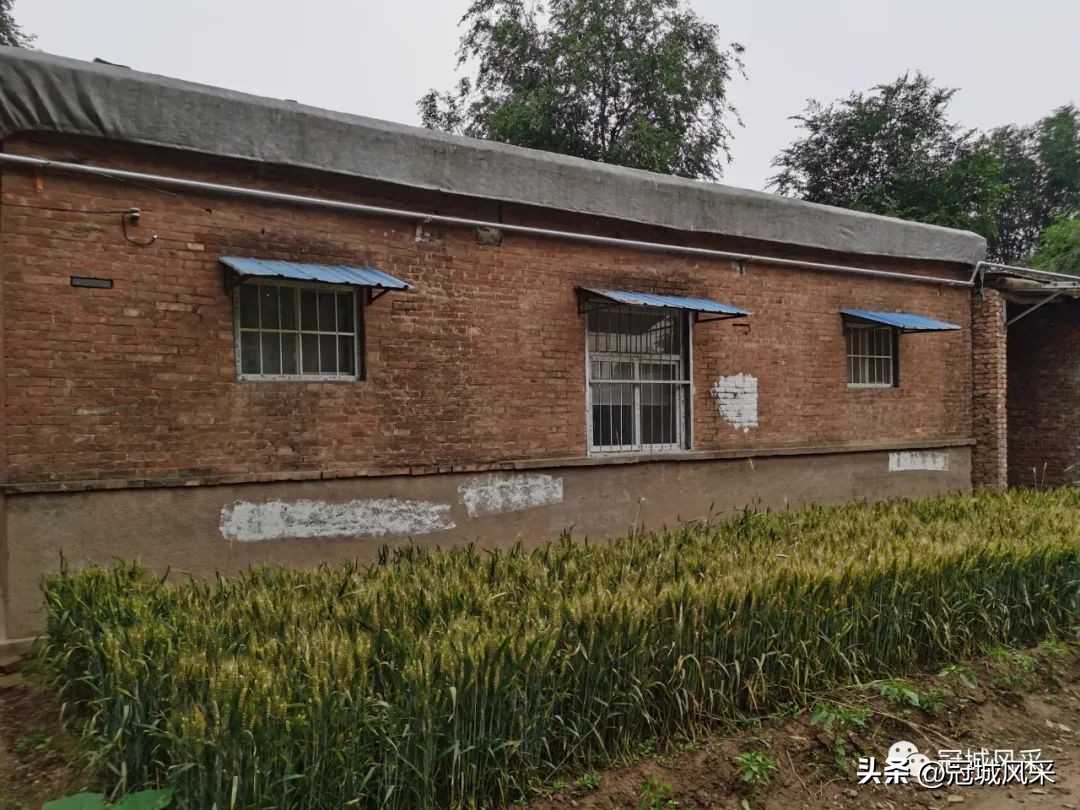 贾镇艾寨村,冠县艾寨