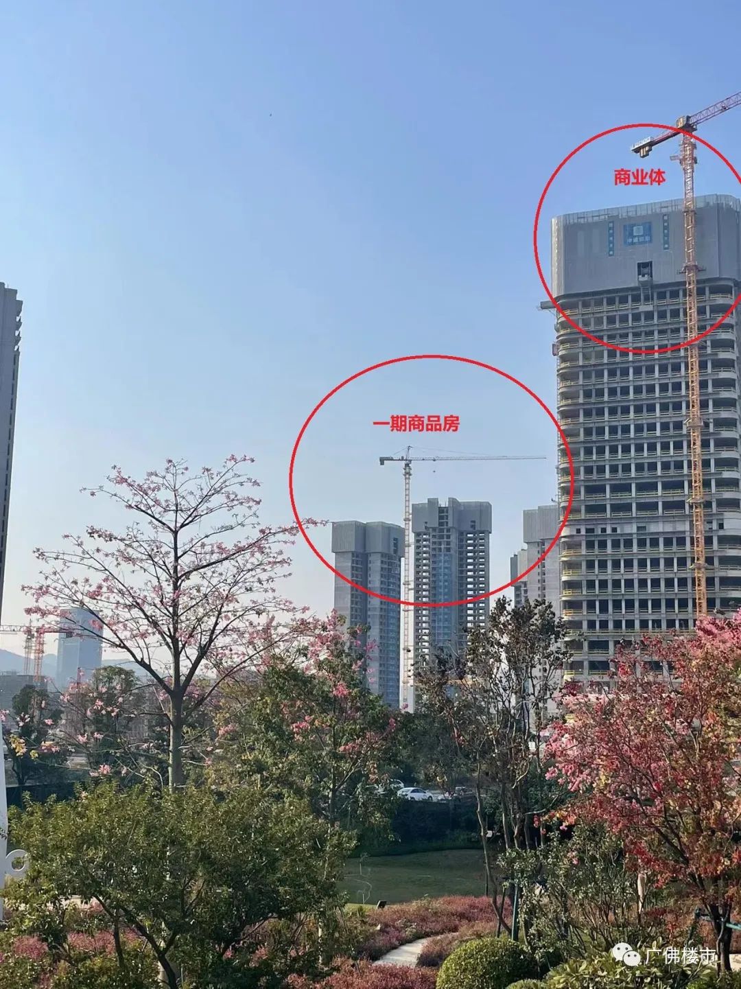 知识城二手盘推荐,知识城哪个盘低价