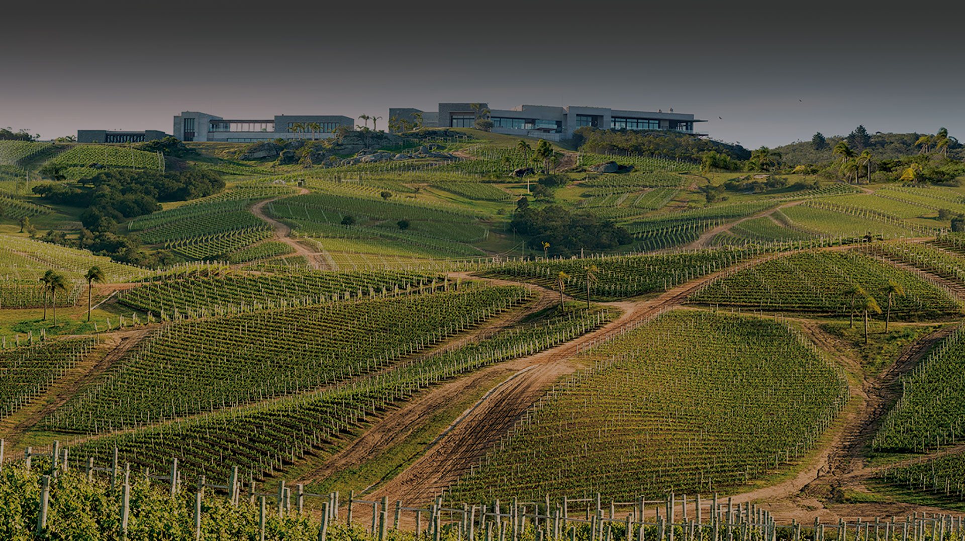 这些全球精酿啤酒你见过吗,这些意大利白葡萄酒你都喝过了吗