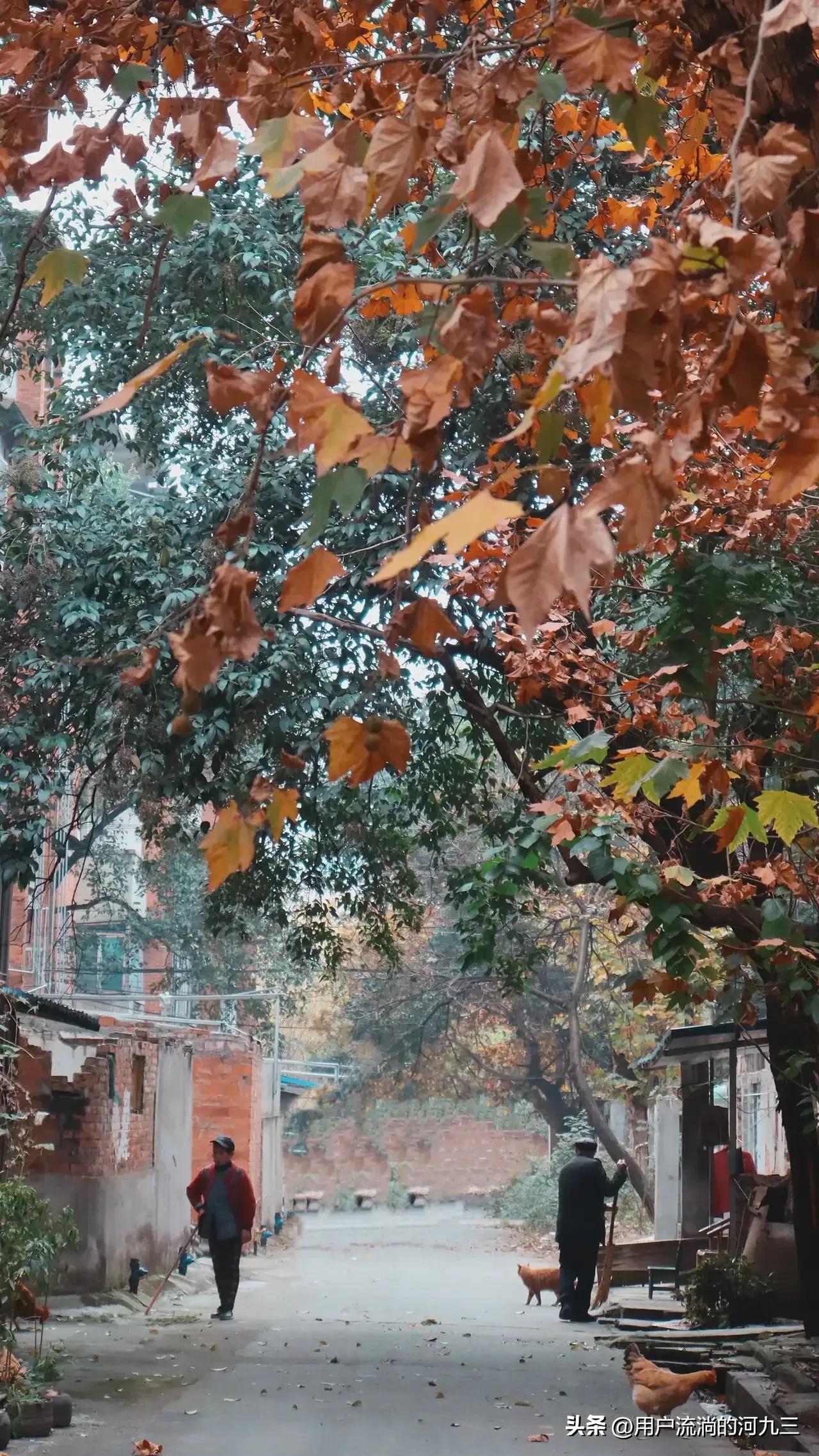 德阳二重厂,德阳二重机械厂