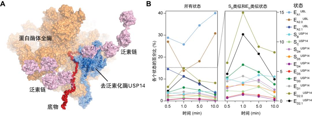 中关村国际创新中心人工智能,科学家首次实现双光量子纠缠成像
