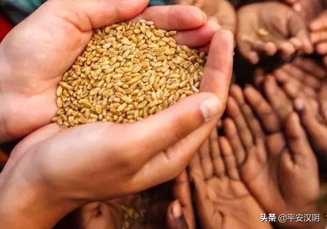 西安市内公交出行最新通知,今日西安出行最新通知