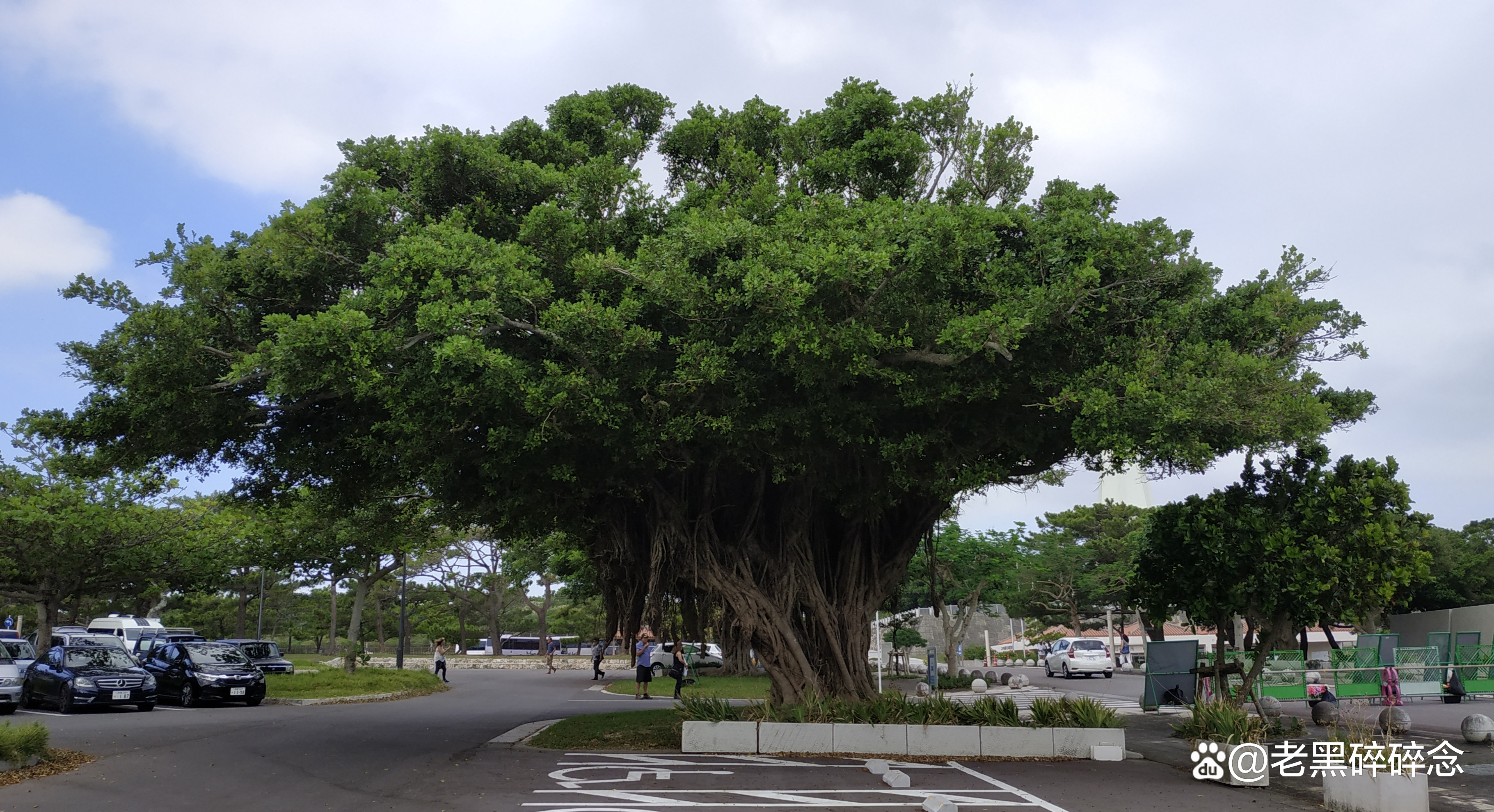 冲绳旅游租车,日本冲绳租车