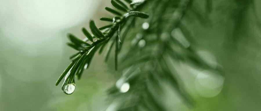 美日欧元外储占比,2022年7月人民币全球外储占比