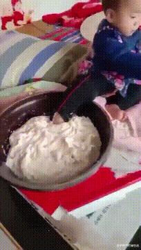 学生适合在宿舍里养的小宠物,在宿舍偷偷养的小宠物