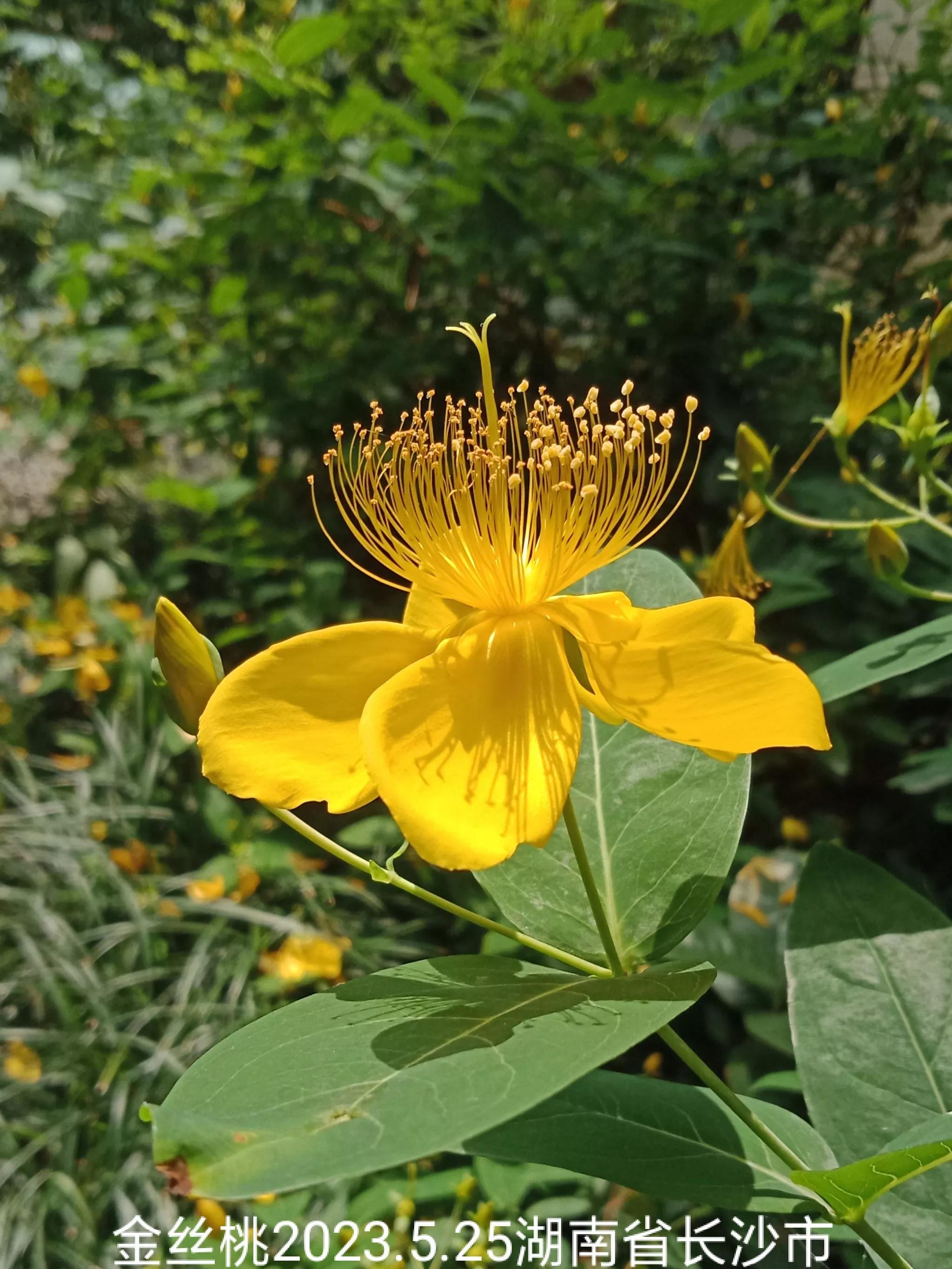 微信群忘保存找不到怎么办,怎么保存微信群里面的人