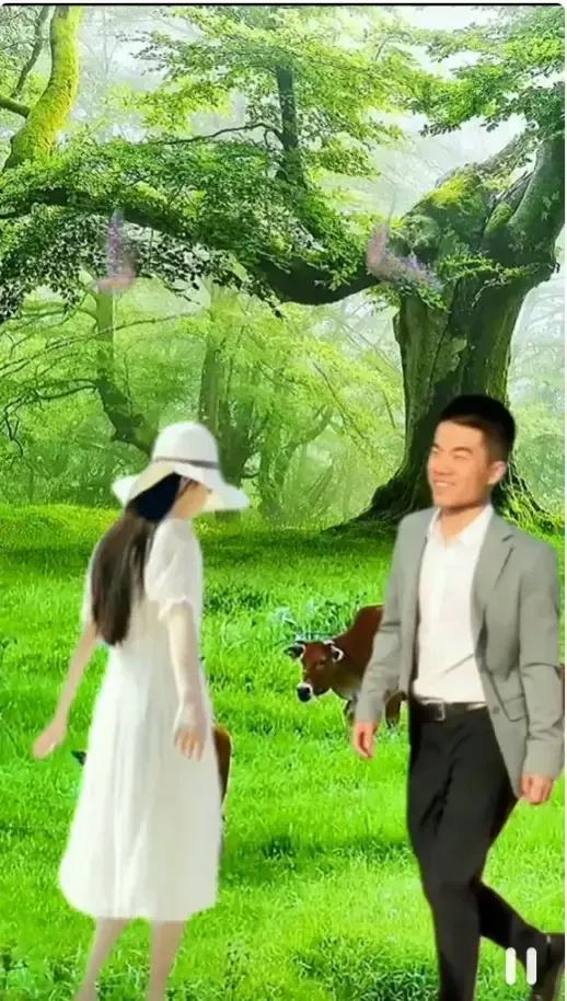 董宇辉离婚上热搜了吗,董宇辉谈论离婚孩子跟谁的问题