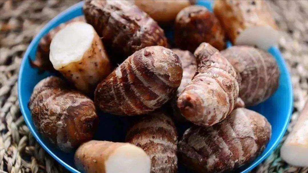 推荐几道家常菜营养丰富好吃开胃,推荐几道家常菜清香美味