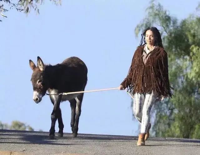 他俩分手又复合,他俩竟然离婚了完整视频