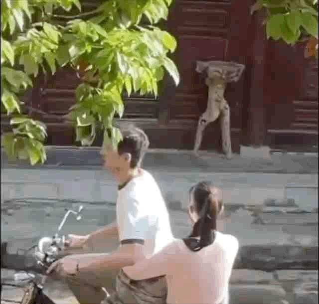 刘亦菲侧颜五官立体翘鼻抢镜,刘亦菲晒马甲线照身材简直太好