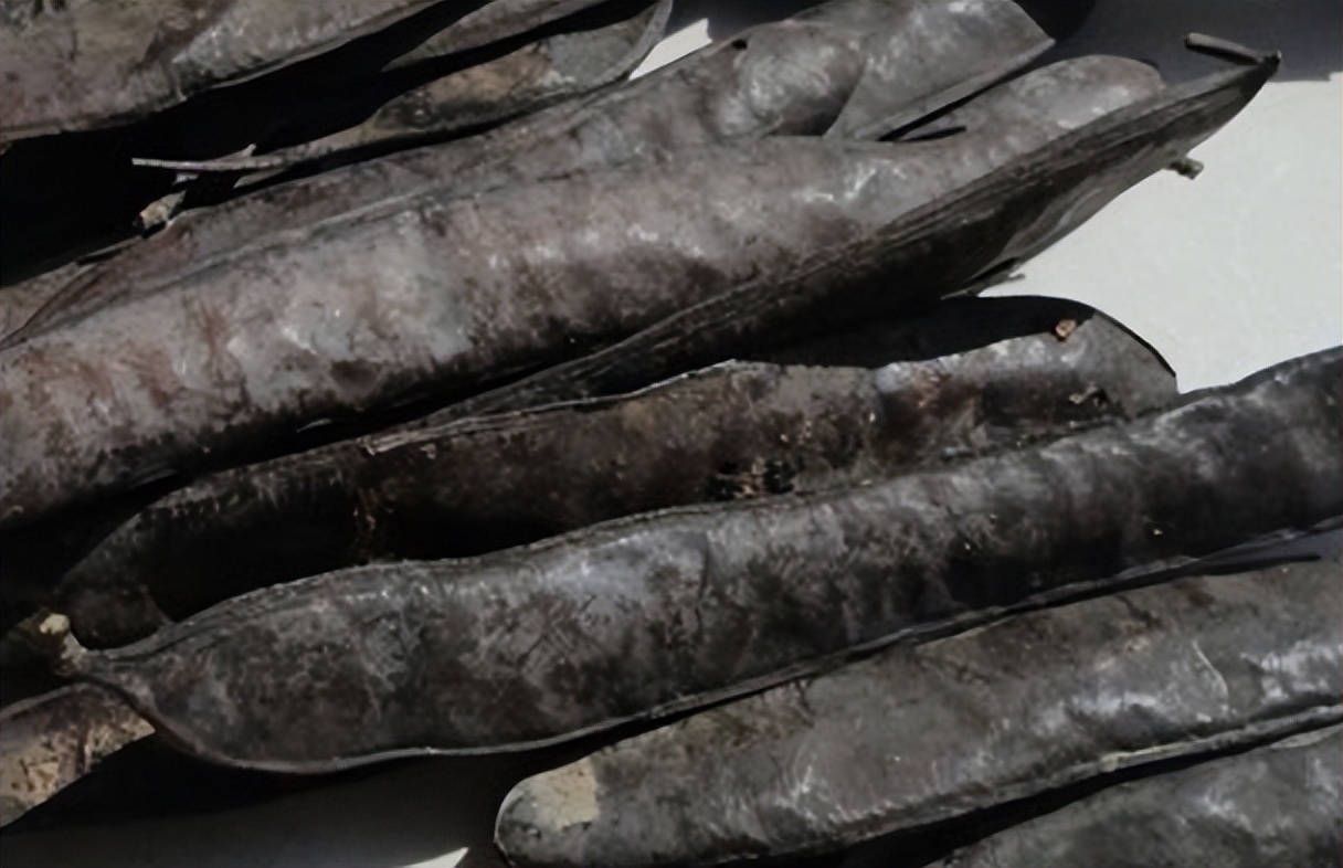 带你识别中草药,带你识别好茶