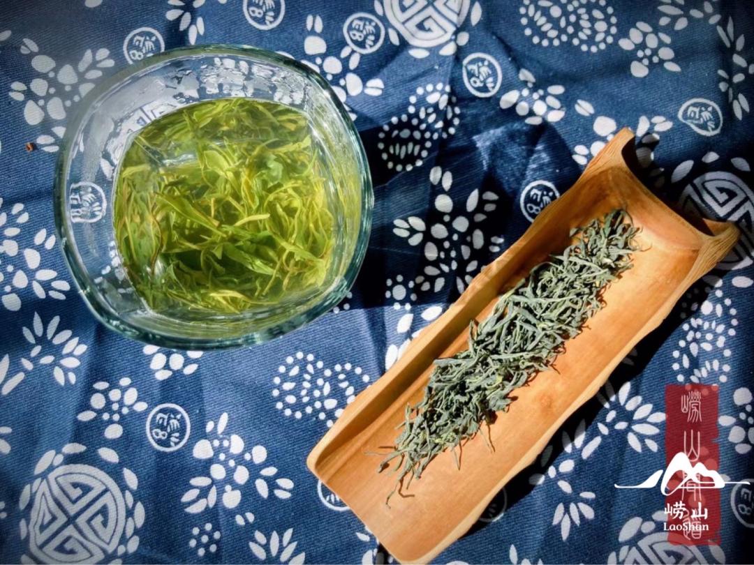 要去有风的地方短句,想去有风的地方怎么办